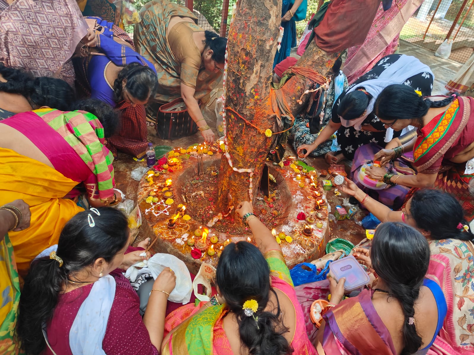 Kaartika Deepothsavam -2 at Amla tree in  Anantha padmanaabha swami temple on the occation of the of get-together party on 22-11-2023.